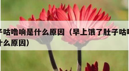 肚子咕噜响是什么原因（早上饿了肚子咕噜响是什么原因）