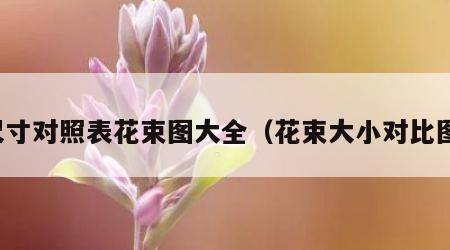 尺寸对照表花束图大全（花束大小对比图）