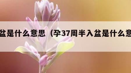 入盆是什么意思（孕37周半入盆是什么意思）