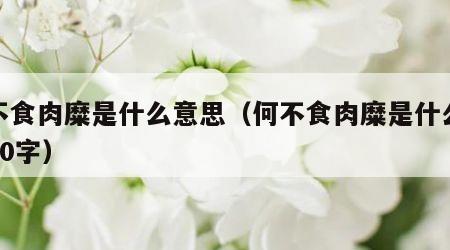 何不食肉糜是什么意思（何不食肉糜是什么意思20字）