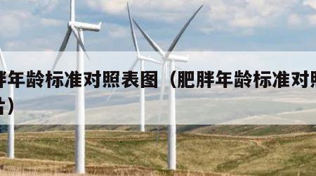 肥胖年龄标准对照表图（肥胖年龄标准对照表图片）