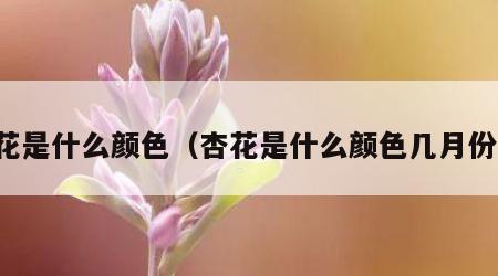 杏花是什么颜色（杏花是什么颜色几月份开）