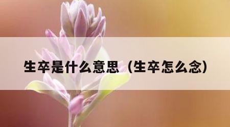 生卒是什么意思（生卒怎么念）