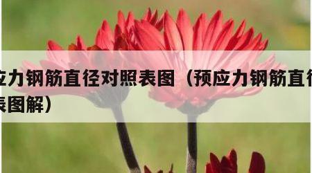 预应力钢筋直径对照表图（预应力钢筋直径对照表图解）