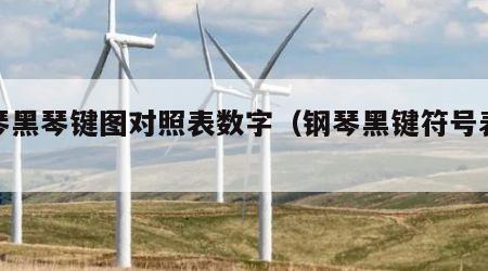 钢琴黑琴键图对照表数字（钢琴黑键符号表示图）