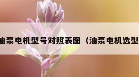 油泵电机型号对照表图（油泵电机选型）