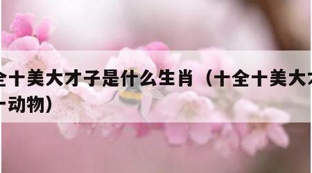 十全十美大才子是什么生肖（十全十美大才子打一动物）