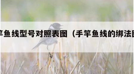 手竿鱼线型号对照表图（手竿鱼线的绑法图解）