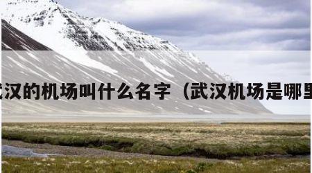 武汉的机场叫什么名字（武汉机场是哪里）