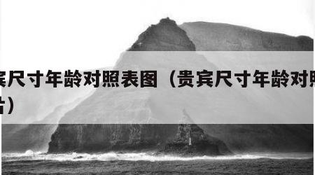 贵宾尺寸年龄对照表图（贵宾尺寸年龄对照表图片）