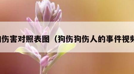狗伤害对照表图（狗伤狗伤人的事件视频）