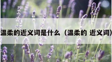 温柔的近义词是什么（温柔的 近义词）