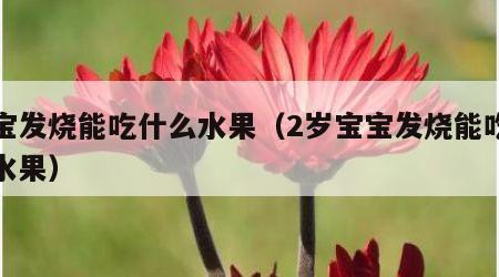 宝宝发烧能吃什么水果（2岁宝宝发烧能吃什么水果）