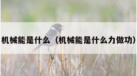 机械能是什么（机械能是什么力做功）