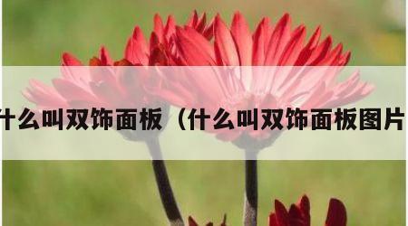 什么叫双饰面板（什么叫双饰面板图片）