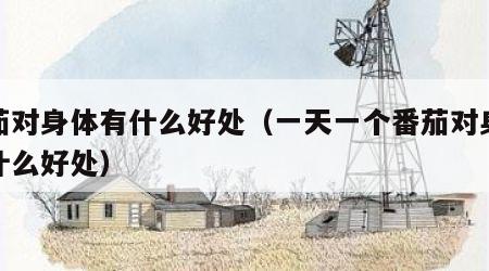 番茄对身体有什么好处（一天一个番茄对身体有什么好处）
