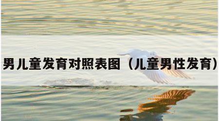 男儿童发育对照表图（儿童男性发育）