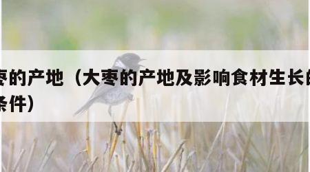 大枣的产地（大枣的产地及影响食材生长的自然条件）