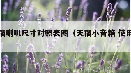 天猫喇叭尺寸对照表图（天猫小音箱 使用教程）