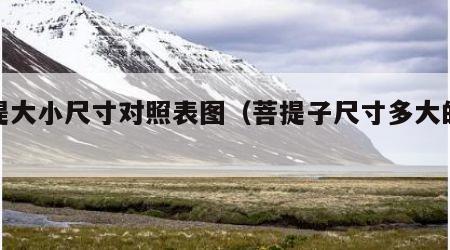 菩提大小尺寸对照表图（菩提子尺寸多大的最好）