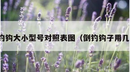 倒钓钩大小型号对照表图（倒钓钩子用几号）