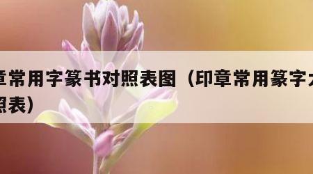 印章常用字篆书对照表图（印章常用篆字大全对照表）