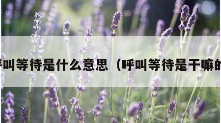 呼叫等待是什么意思（呼叫等待是干嘛的）