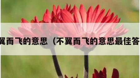 不翼而飞的意思（不翼而飞的意思最佳答案）