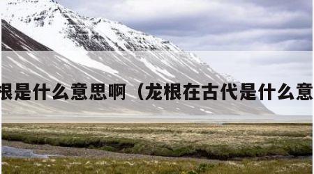 龙根是什么意思啊（龙根在古代是什么意思）