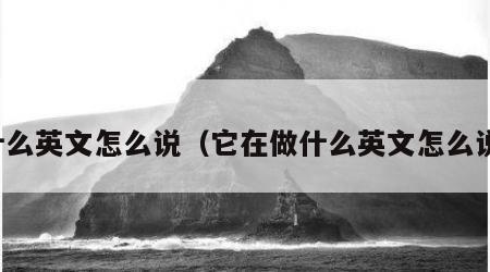 什么英文怎么说（它在做什么英文怎么说）
