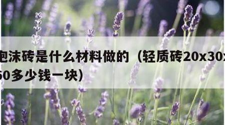 泡沫砖是什么材料做的（轻质砖20x30x60多少钱一块）