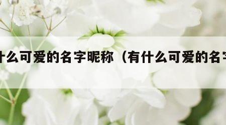 有什么可爱的名字昵称（有什么可爱的名字吗?）
