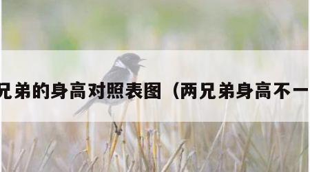 两兄弟的身高对照表图（两兄弟身高不一样）