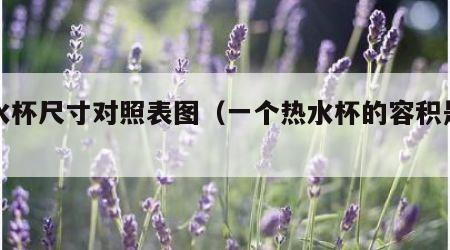 热水杯尺寸对照表图（一个热水杯的容积是多少）