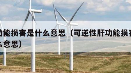 肝功能损害是什么意思（可逆性肝功能损害是什么意思）