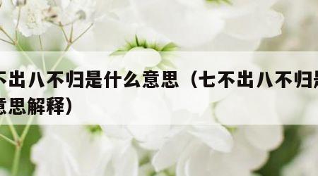 七不出八不归是什么意思（七不出八不归是什么意思解释）