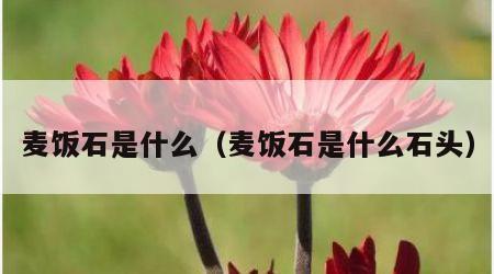 麦饭石是什么（麦饭石是什么石头）