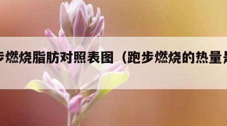 跑步燃烧脂肪对照表图（跑步燃烧的热量是什么）