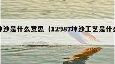 坤沙是什么意思（12987坤沙工艺是什么）