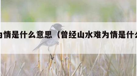 难为情是什么意思（曾经山水难为情是什么意思）