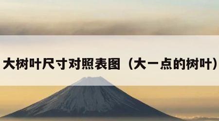大树叶尺寸对照表图（大一点的树叶）
