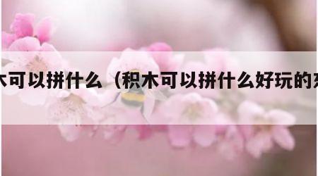 积木可以拼什么（积木可以拼什么好玩的东西）