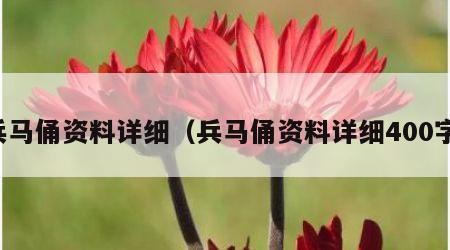 兵马俑资料详细（兵马俑资料详细400字）