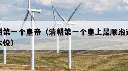 清朝第一个皇帝（清朝第一个皇上是顺治还是皇太极）