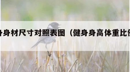 健身身材尺寸对照表图（健身身高体重比例表）