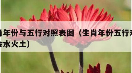 生肖年份与五行对照表图（生肖年份五行对照表金水火土）