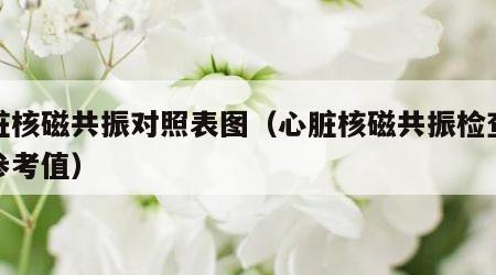 心脏核磁共振对照表图（心脏核磁共振检查心脏参考值）