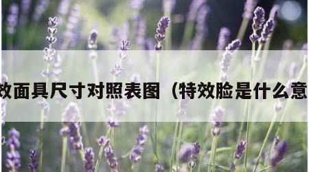特效面具尺寸对照表图（特效脸是什么意思）