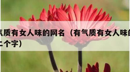 有气质有女人味的网名（有气质有女人味的网名二个字）