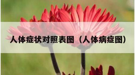 人体症状对照表图（人体病症图）